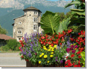 Fleurs devant le Manoir de la Tour